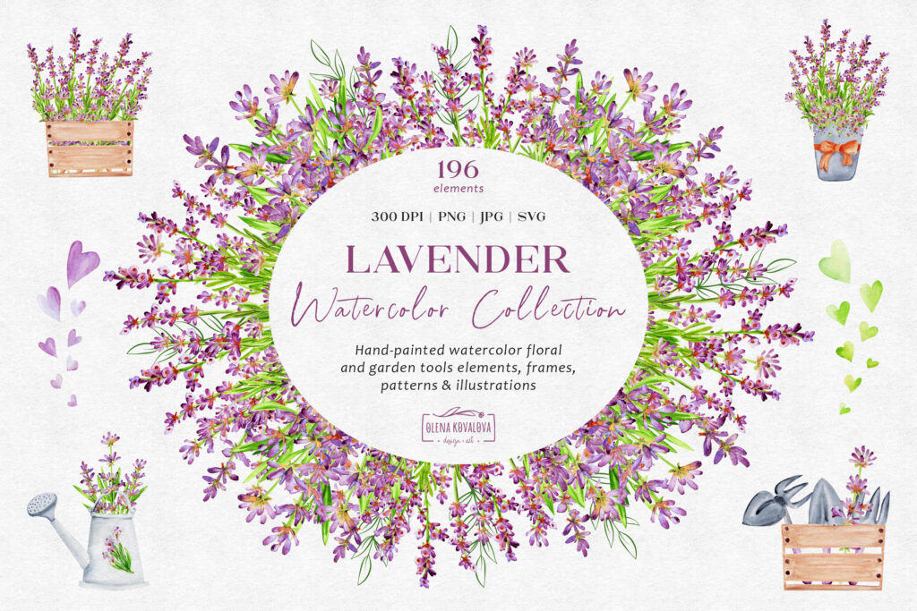 01 Lavender Title 3000x2000 V.3 1 GN5pNtasn9XPmC0t 1024x683
